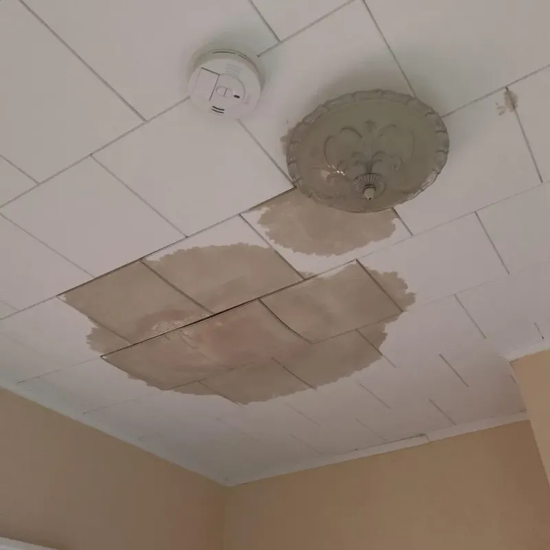Ceiling Water Damage Repair in Saylorville, IA