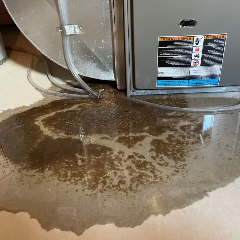 Pipe Burst and Leak Restoration in Saylorville, IA