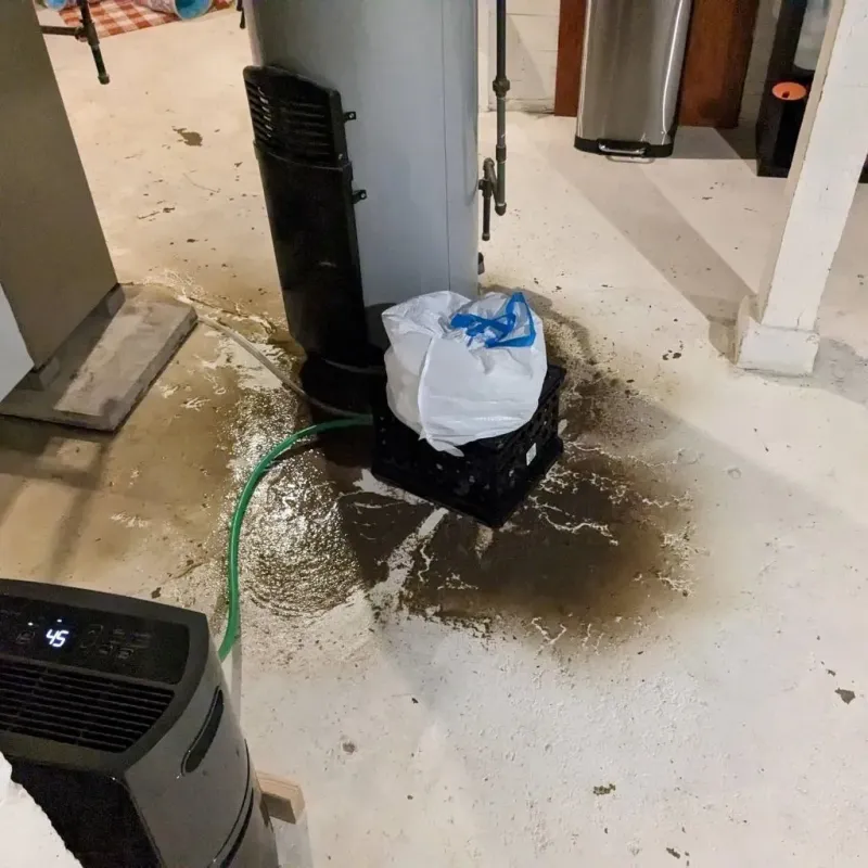 Sewage Backup Cleanup Service in Saylorville, IA